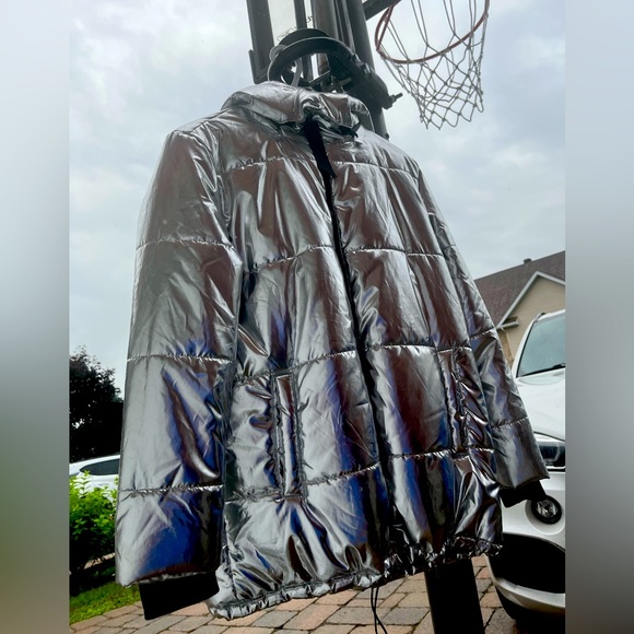 Silver Puffer - Picture 1 of 4